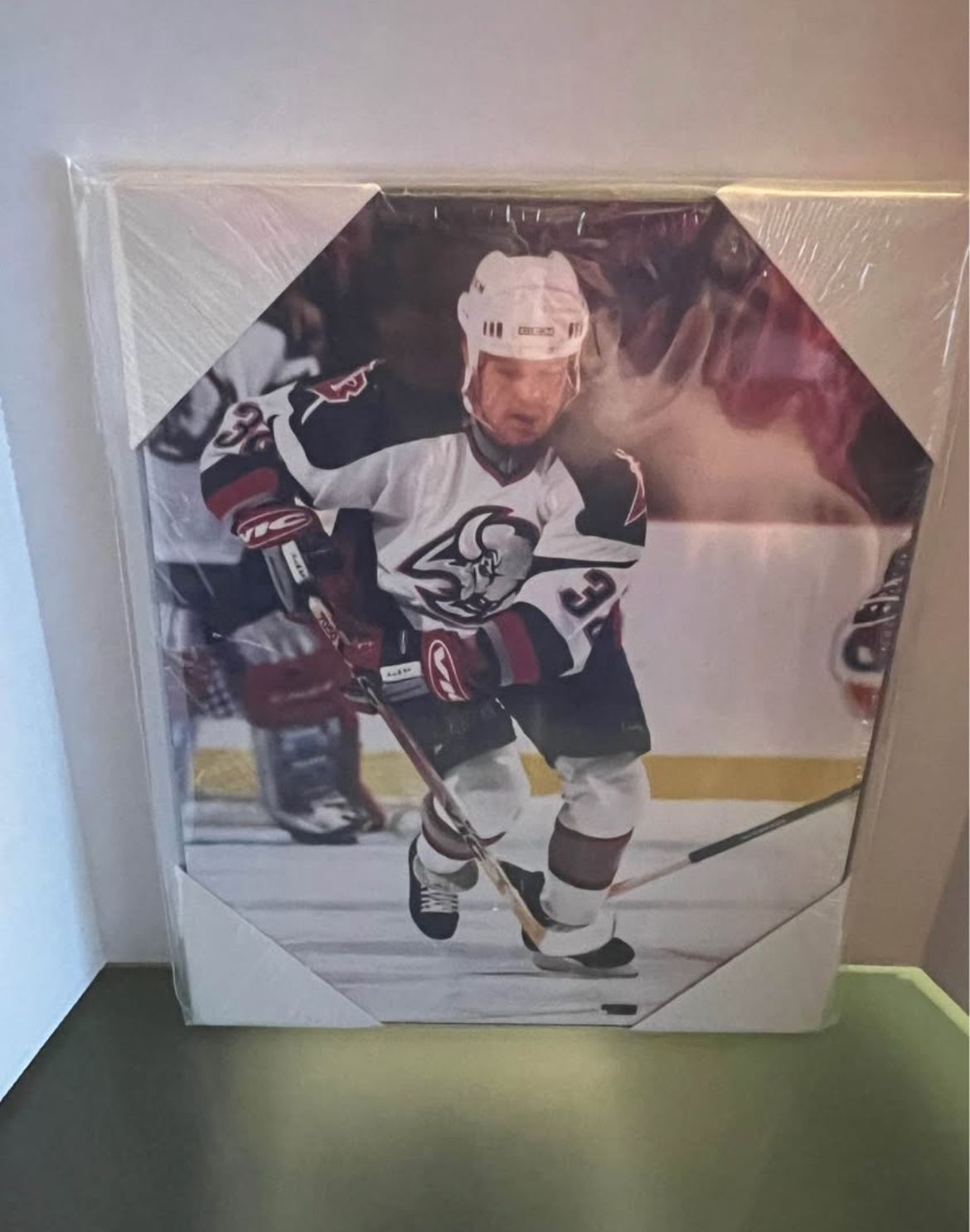 Buffalo Sabres Rob Ray 8x10 Plaque