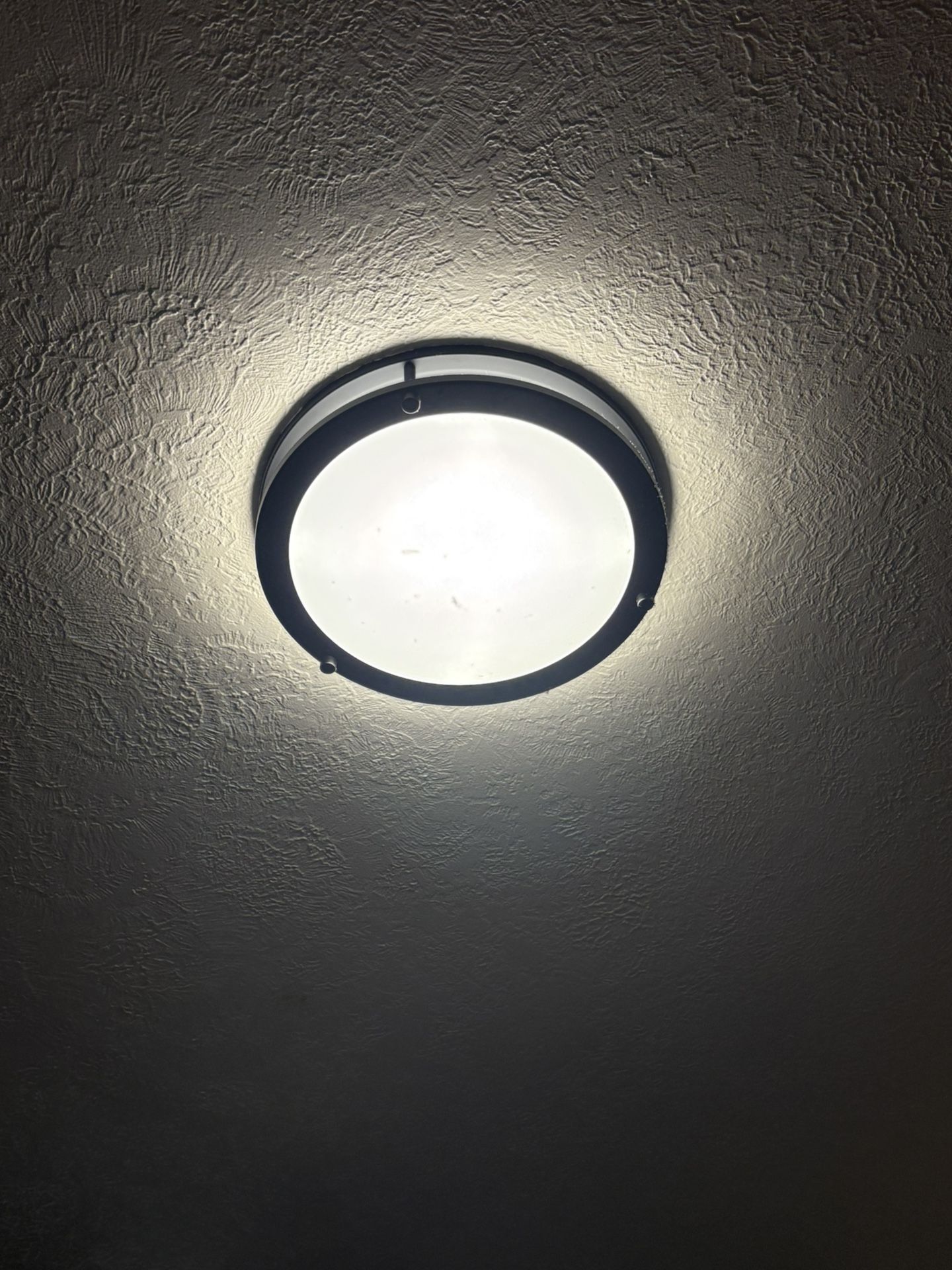 2 Soft White Ceiling Lights