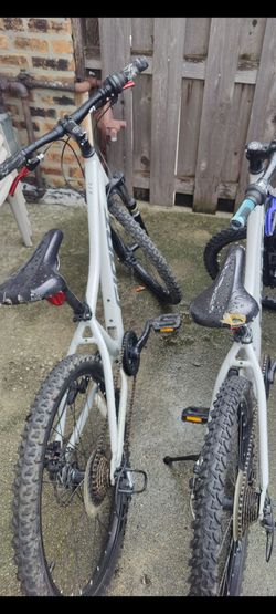 Giant bike