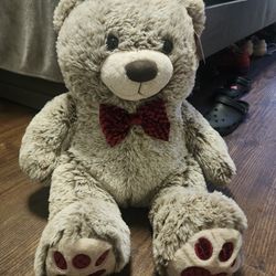 Teddy Bear 