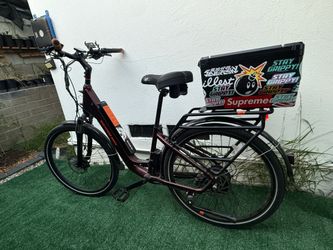Rad Power Bike