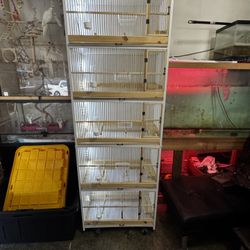 Bird cage shelf
