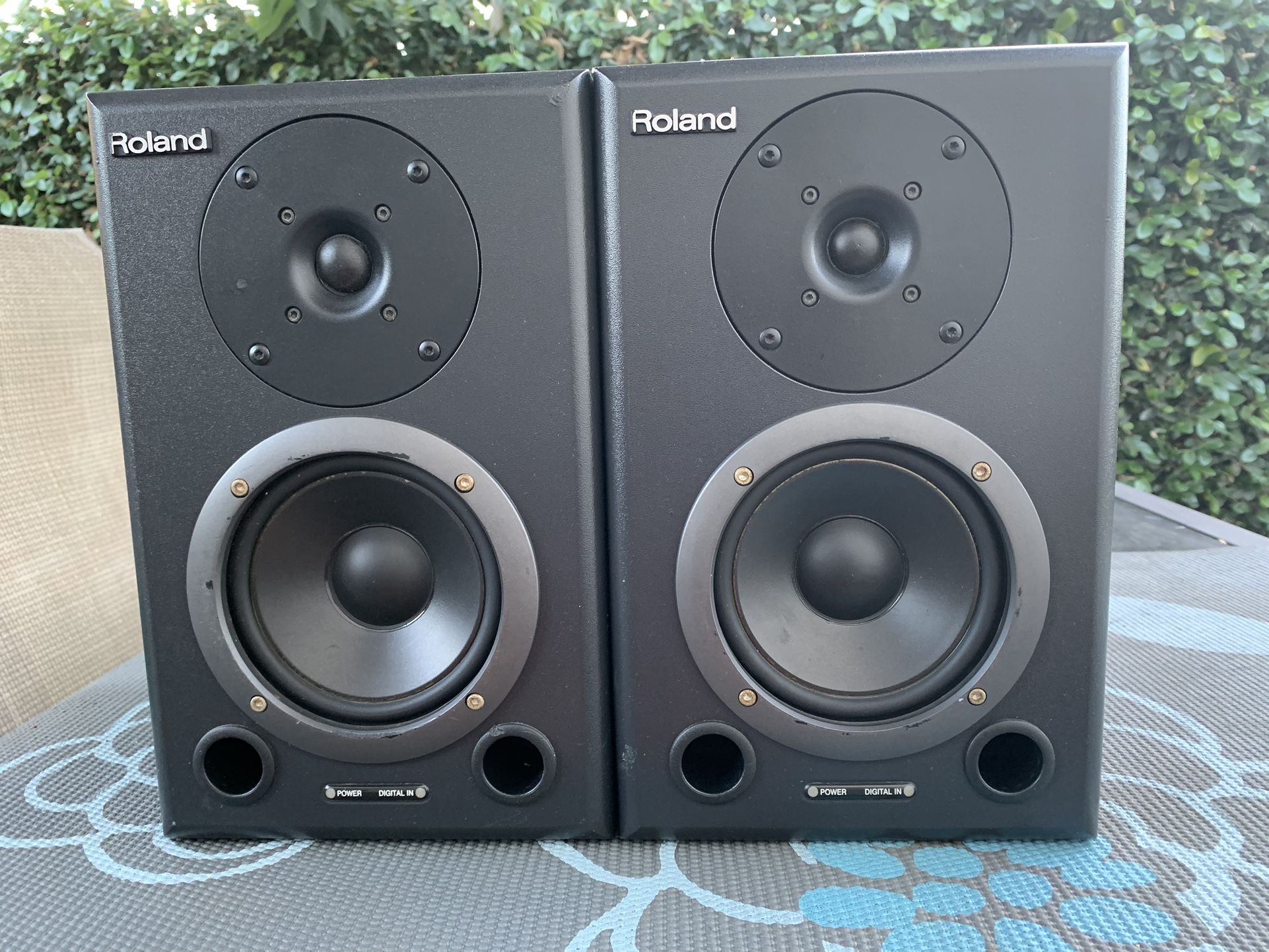 Roland DS-50A - Monitors