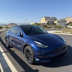 2020 Tesla Model Y