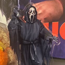 Acrylic Scream Display 