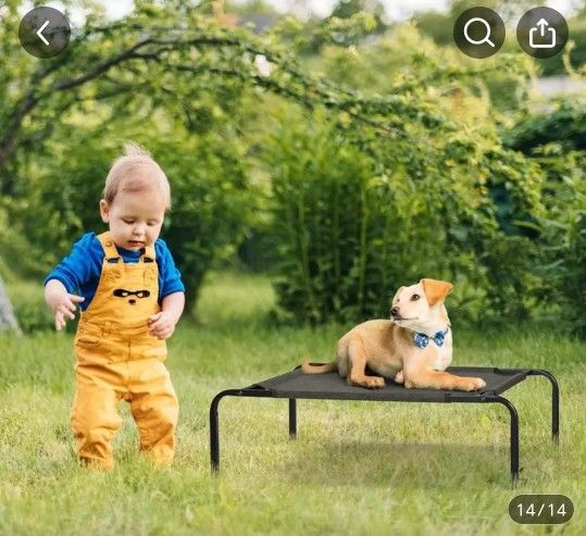 Raised Dog Bed. Perfect For Summer Or Backyard!