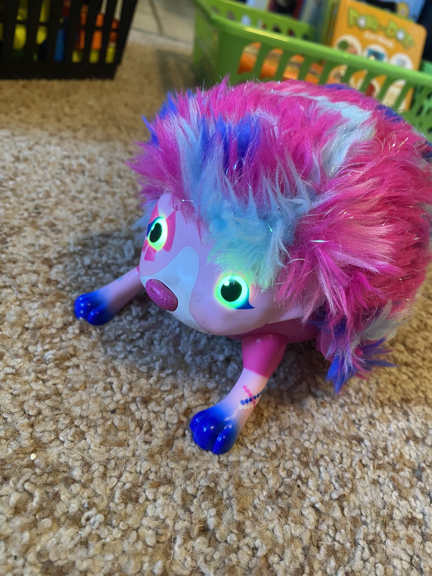 Hedgehog Pet
