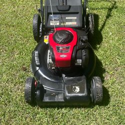 Briggs Black Cat Self Propelled Mower