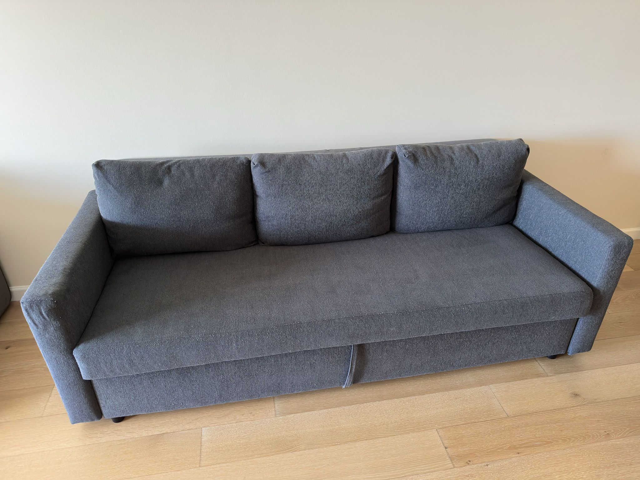 Sofa / couch (folds out to Queen bed)