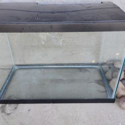 20 Gallon Fish Tank 