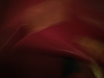 Red contemporary classic leather sofa