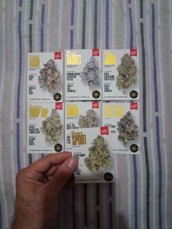 Claybourne Co. Gold Cuts 1st Edition Trading Cards