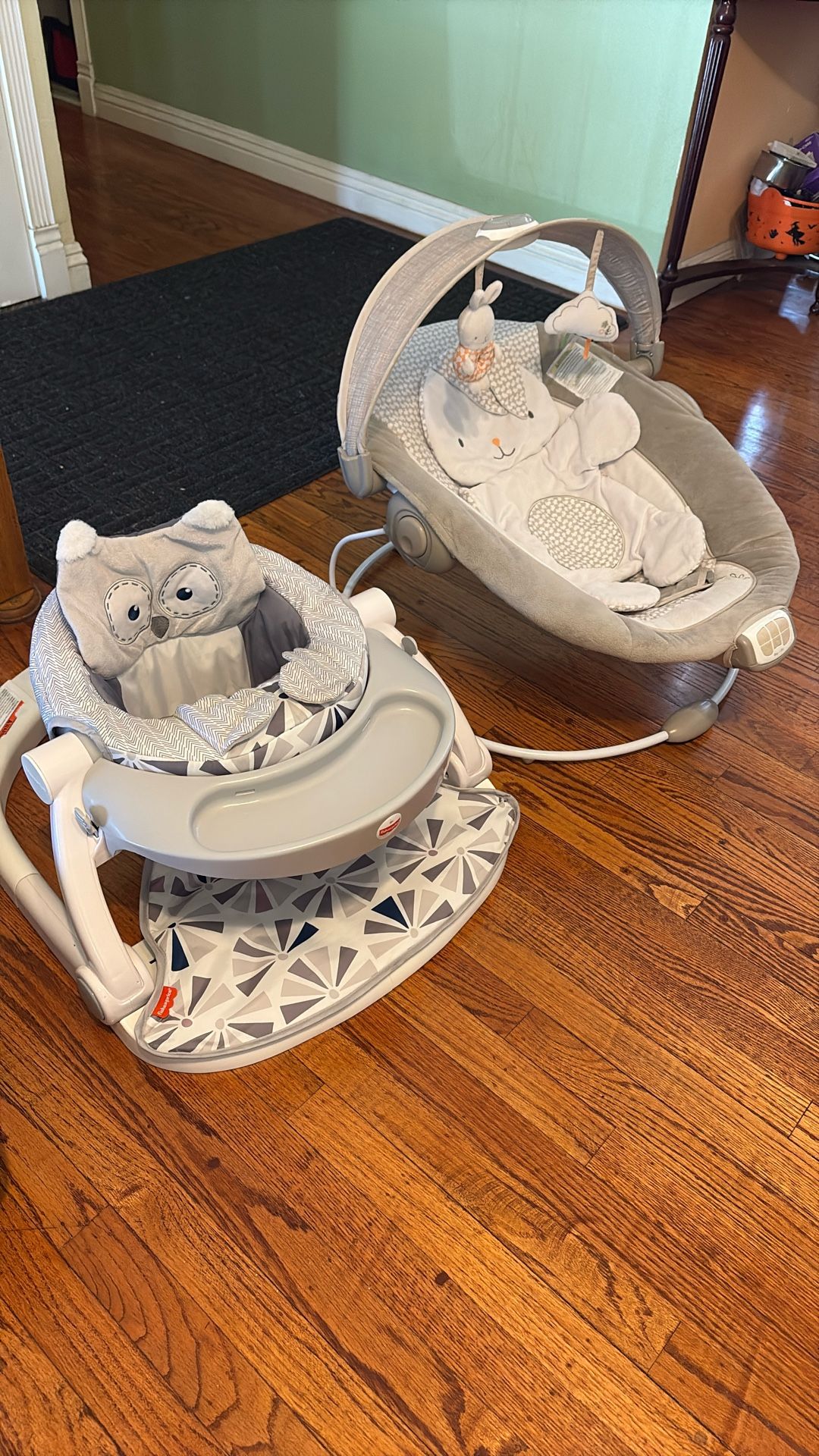 Baby Seat And Bouncer