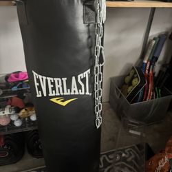 Everlast Punching Bag