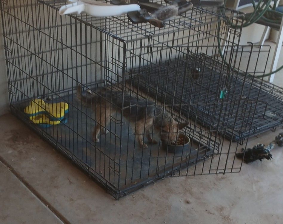 Crate