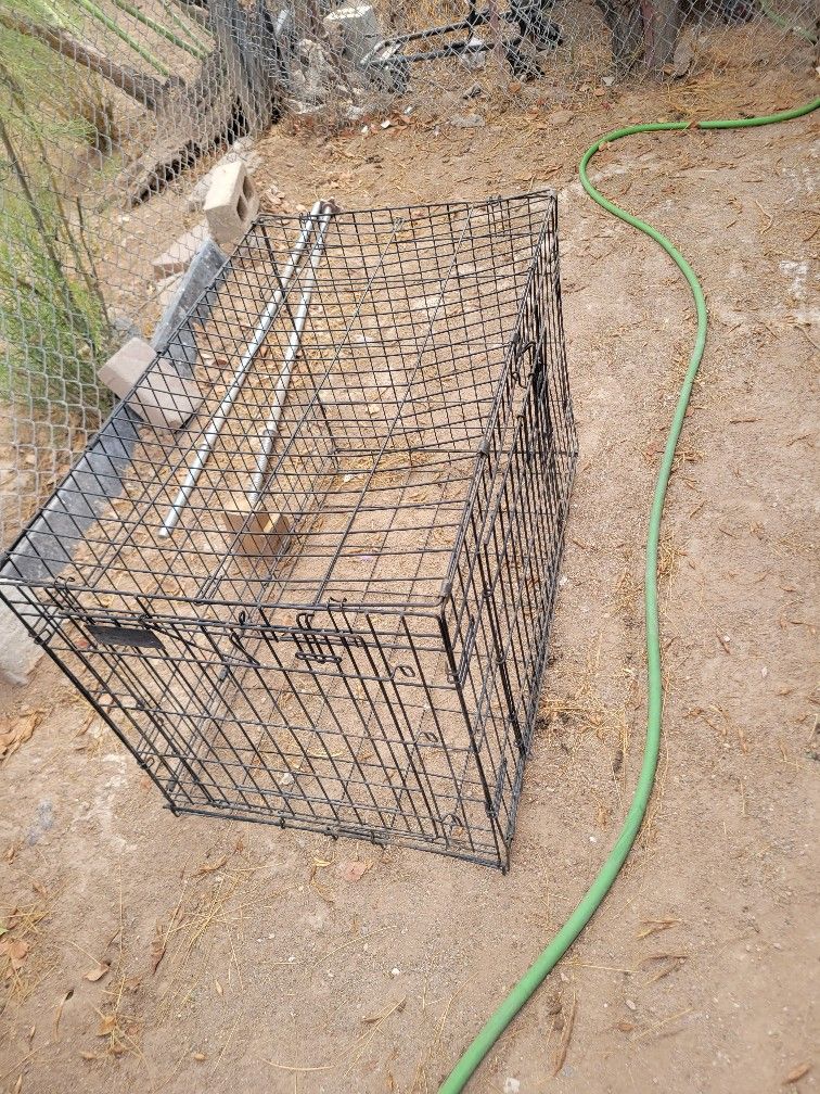 Pet Kennel