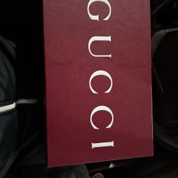 Brand New Gucci Ace Sneakers