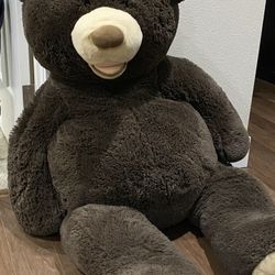 Bear around 4ft tall