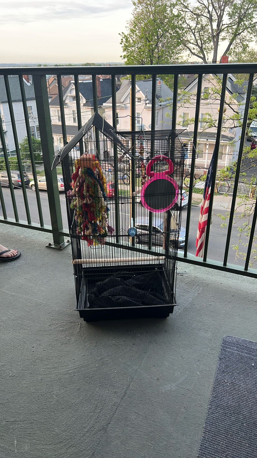 Bird Cage