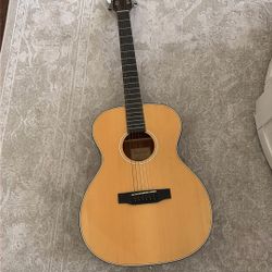 dexter acoustix guitar