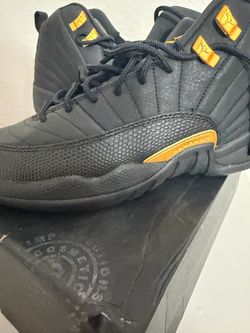 Air Jordan 12 retro