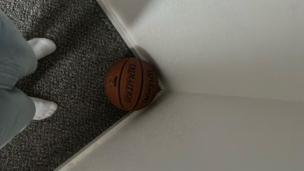 evo basketball