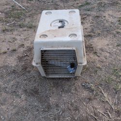 dog kennel was in my shed so it's kind of dirty