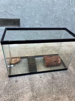Tortoise Tank