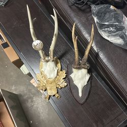 Alsace Hunt Club Reproduction Antler Wall Mount Trophy