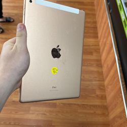 iPad 8th Generation Wifi And Cellular Used 32GB 