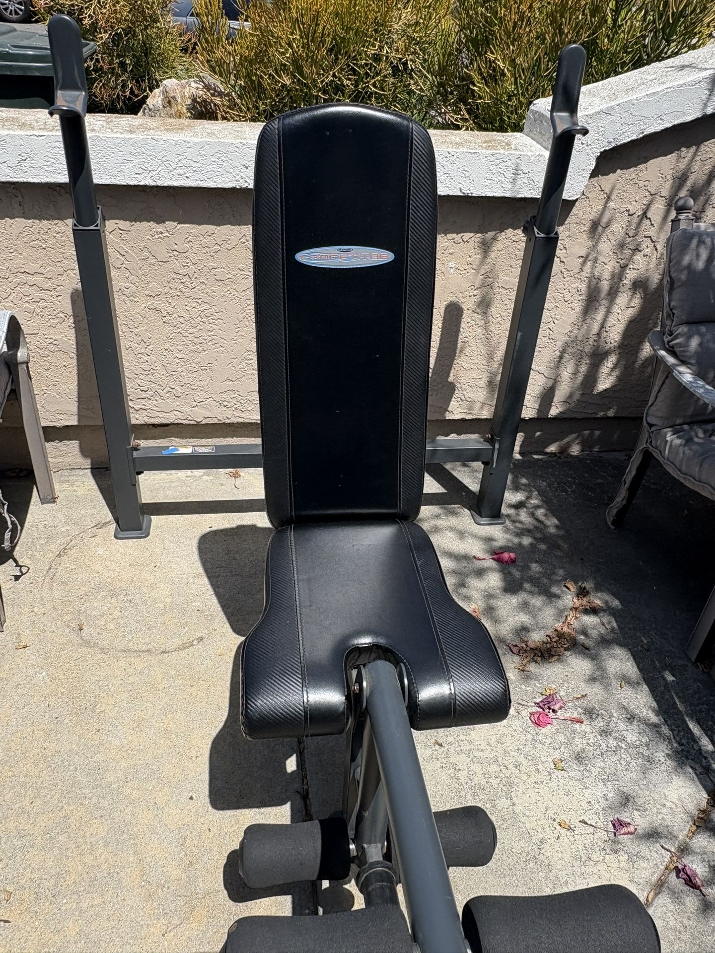 Weight Bench/Bench Press