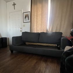 Sofa w/ Fold Out Bed 