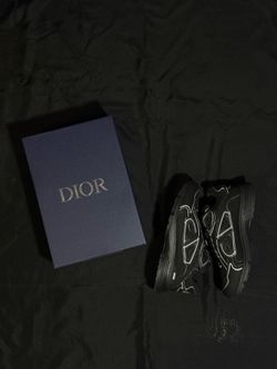 Dior b30