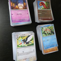 Pokemon Cards Pitch Black