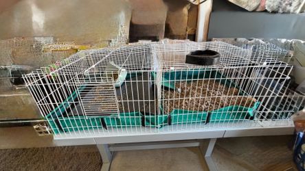 Rabbit cage
