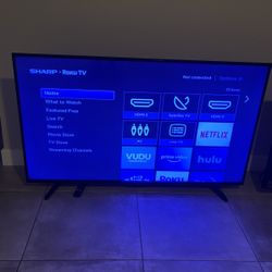 48in Roku TV