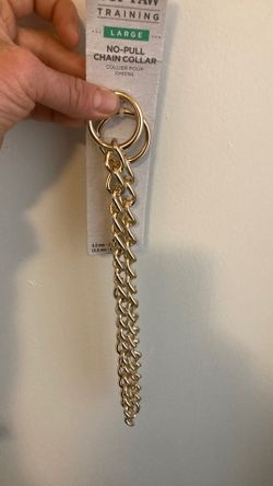 Dog Collar.  Gold Plated