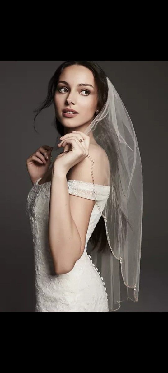 Beaded Veil