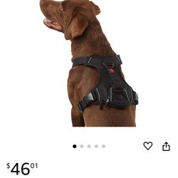 KONG Dog Harness 