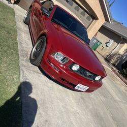 2008 Ford Mustang
