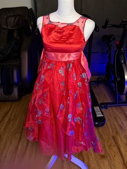 Brave princess dress