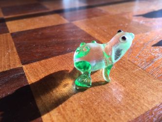 Cute glass frog