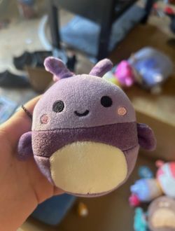 axel the purple beetle squishmallow 