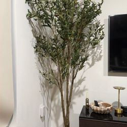 Realistic Faux Olive Tree (like new) 