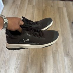 Men’s Size 12 Golf Shoes 