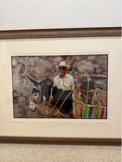 Cool Donkey Mexico Art