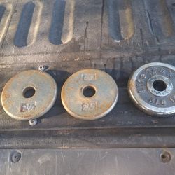 Three Weights Only 15 For All Three