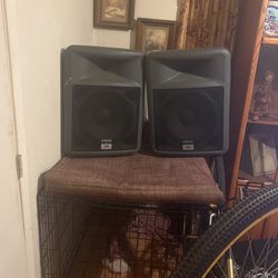Peavy 12 Subs And Amp 