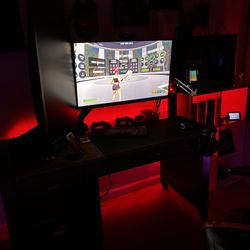 Dual Monitor Pc Setup
