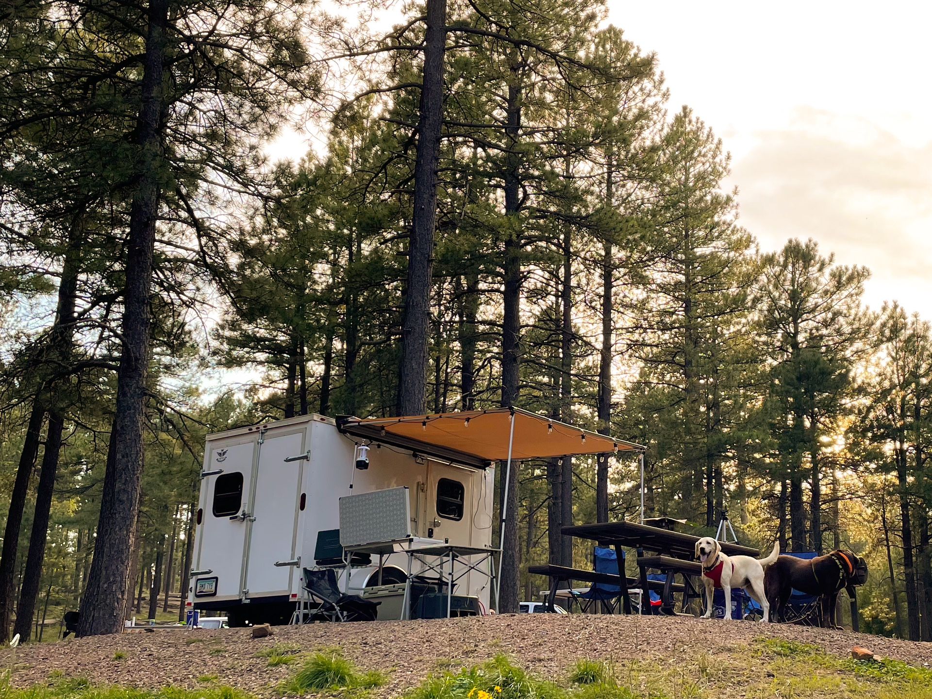 6x10 Cargo Trailer Camper Conversion 